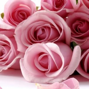 Meet your Posher, Leticia